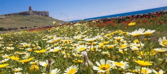  قطعة أرض في Morciano di Leuca, Italy 10834متر مربع رقم 67129 32