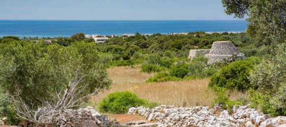  قطعة أرض في Morciano di Leuca, Italy 10834متر مربع رقم 67129 18