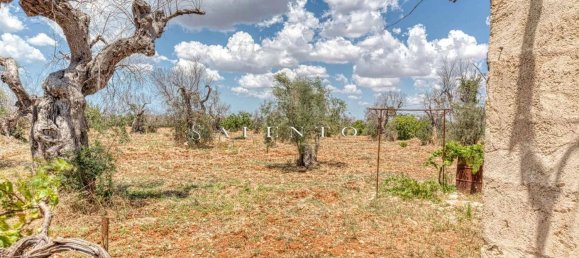  قطعة أرض في Morciano di Leuca, Italy 10834متر مربع رقم 67129 14