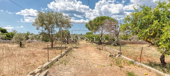  قطعة أرض في Morciano di Leuca, Italy 10834متر مربع رقم 67129 17