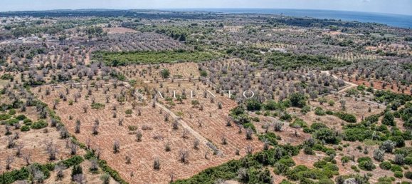  قطعة أرض في Morciano di Leuca, Italy 10834متر مربع رقم 67129 2