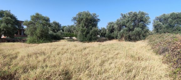 Terreno en Crucoli, Italy No. 371912 4