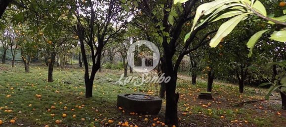 4 bedrooms House in Vila Nova de Famalicao, Portugal No. 62501 12