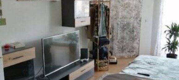 Студия в Рейн-Неккар, Германия № 218352 3