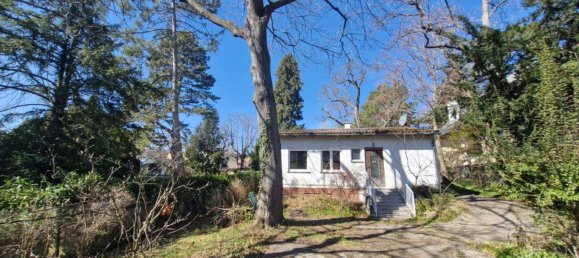  قطعة أرض في Dobling, Austria رقم 114499 2