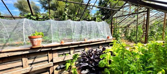 12 rooms Farm in Oberhavel, Germany No. 353529 19