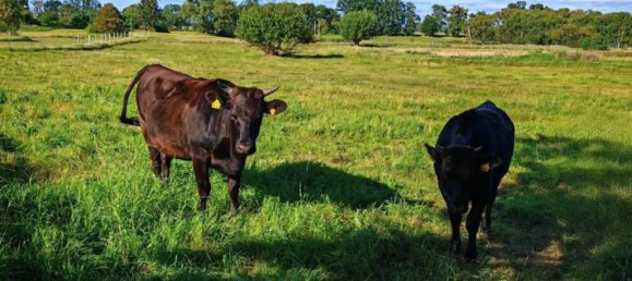 12 rooms Farm in Oberhavel, Germany No. 353529 20