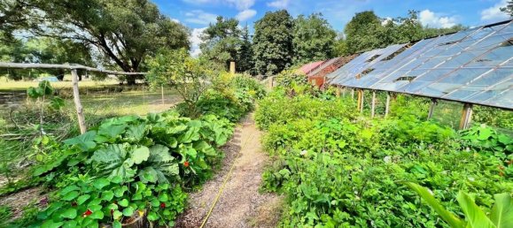 12 rooms Farm in Oberhavel, Germany No. 353529 18