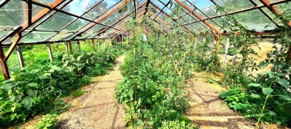 12 rooms Farm in Oberhavel, Germany No. 353529 17