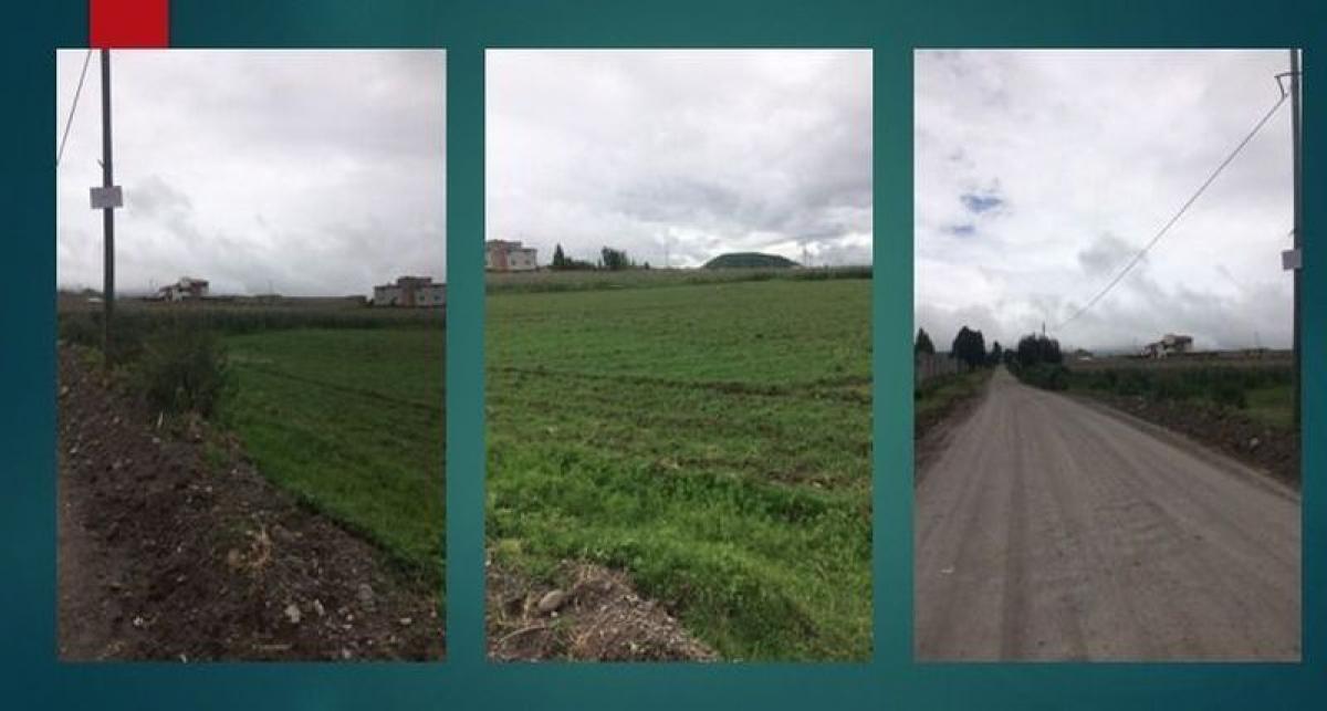 Grundstück in San Buenaventura, Mexico, Nr. 205427