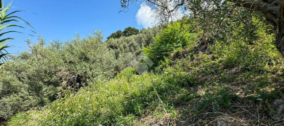 Casa de 4 habitaciónes en Longobardi, Italy No. 22196 28