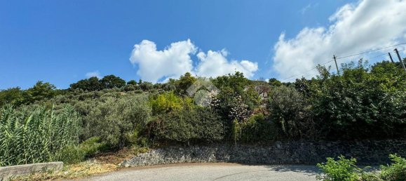 Casa de 4 habitaciónes en Longobardi, Italy No. 22196 34