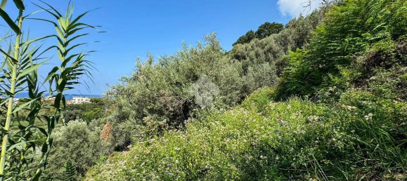 Casa de 4 habitaciónes en Longobardi, Italy No. 22196 27