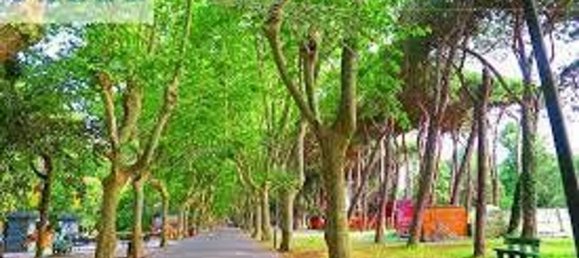 6-salle Appartement à Viareggio, Italy No. 42909 5