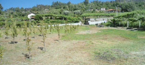 1 Schlafzimmer Haus in Marco de Canaveses, Portugal, Nr. 52098 10