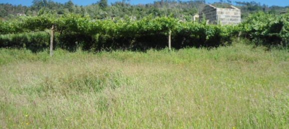 1 Schlafzimmer Haus in Marco de Canaveses, Portugal, Nr. 52098 20