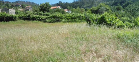 1 Schlafzimmer Haus in Marco de Canaveses, Portugal, Nr. 52098 18