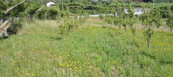 1 Schlafzimmer Haus in Marco de Canaveses, Portugal, Nr. 52098 11
