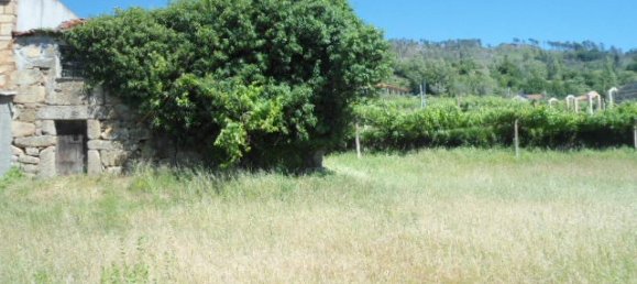 1 Schlafzimmer Haus in Marco de Canaveses, Portugal, Nr. 52098 16