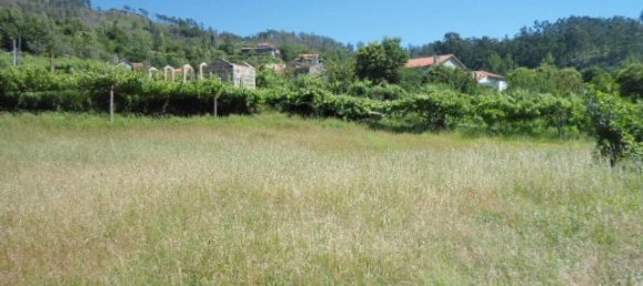 1 Schlafzimmer Haus in Marco de Canaveses, Portugal, Nr. 52098 17