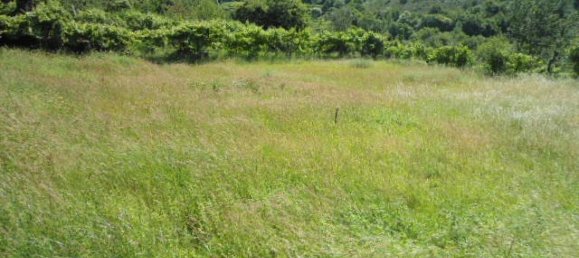 1 Schlafzimmer Haus in Marco de Canaveses, Portugal, Nr. 52098 14