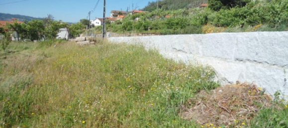 1 Schlafzimmer Haus in Marco de Canaveses, Portugal, Nr. 52098 5