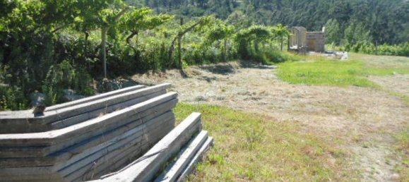 1 Schlafzimmer Haus in Marco de Canaveses, Portugal, Nr. 52098 6