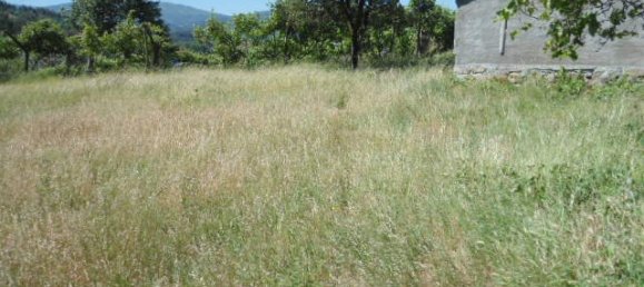 1 Schlafzimmer Haus in Marco de Canaveses, Portugal, Nr. 52098 15