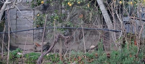 1 Schlafzimmer Haus in Marco de Canaveses, Portugal, Nr. 23877 5