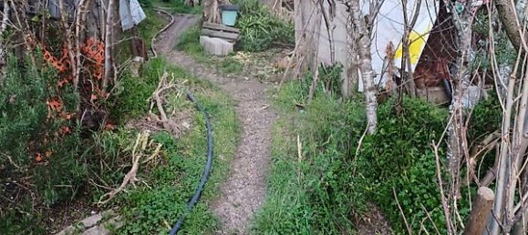 1 Schlafzimmer Haus in Marco de Canaveses, Portugal, Nr. 23877 4