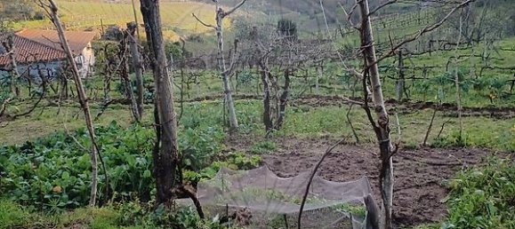 1 Schlafzimmer Haus in Marco de Canaveses, Portugal, Nr. 23877 8