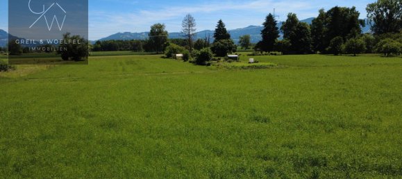 736m² Land in Lustenau, Austria No. 138301 6