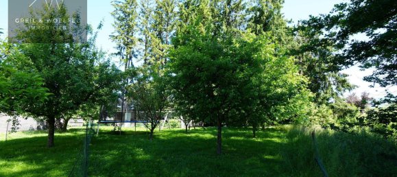 736m² Land in Lustenau, Austria No. 138301 4