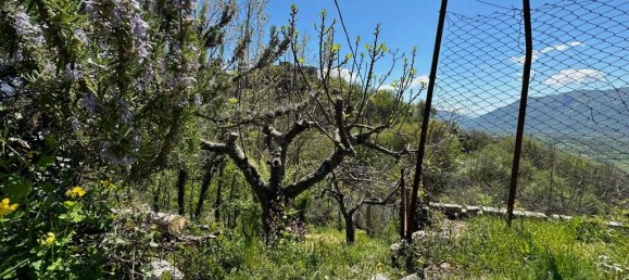 4 bedrooms Castles in Alvito, Italy No. 55564 35