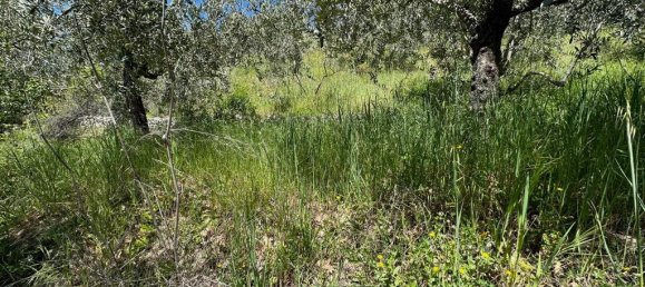 4 bedrooms Castles in Alvito, Italy No. 55564 50