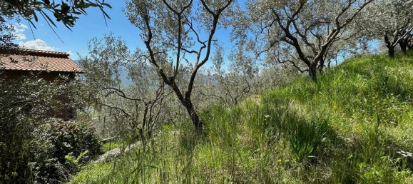 4 bedrooms Castles in Alvito, Italy No. 55564 38