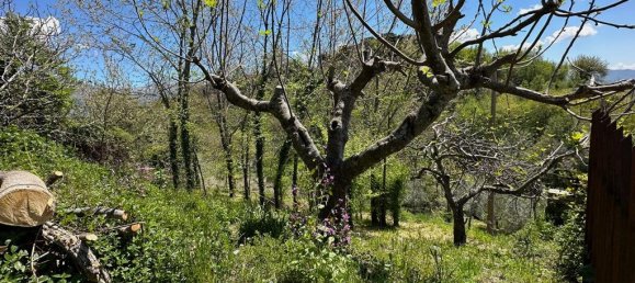 4 bedrooms Castles in Alvito, Italy No. 55564 3