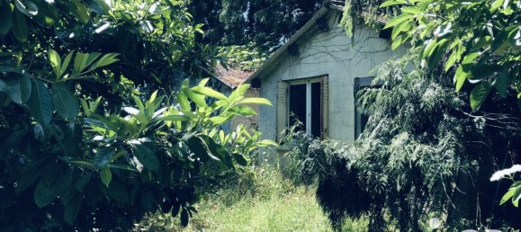 5 bedrooms House in Cuts, France No. 222204 7