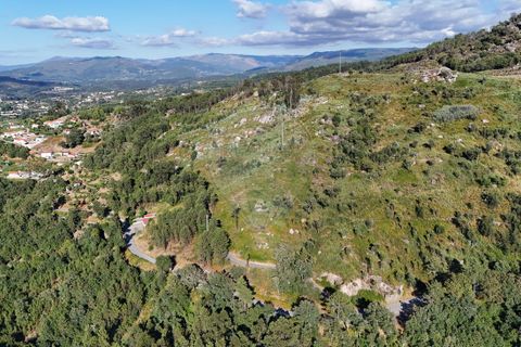  Land in Cabeceiras de Basto, Portugal No. 264182
