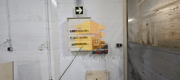 2278m² Warehouse in La Palma de Cervello, Spain No. 121072 13