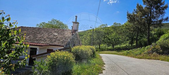 3 Schlafzimmer Haus in Baiao, Portugal, Nr. 15978 6