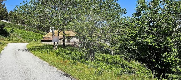 3 Schlafzimmer Haus in Baiao, Portugal, Nr. 15978 16