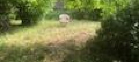 4 غرف نوم تاون هاوس في Bertrambois, France رقم 328528 3