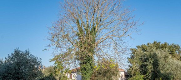 7 rooms House in Avigliano Umbro, Italy No. 107718 30