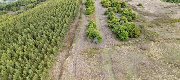 Terreno en Loures, Portugal 133499 m² No. 14878 6