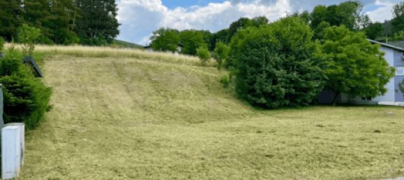 1213m² Land in Pettenbach, Austria No. 110573 3