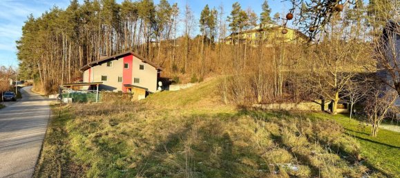 1213m² Land in Pettenbach, Austria No. 110573 5