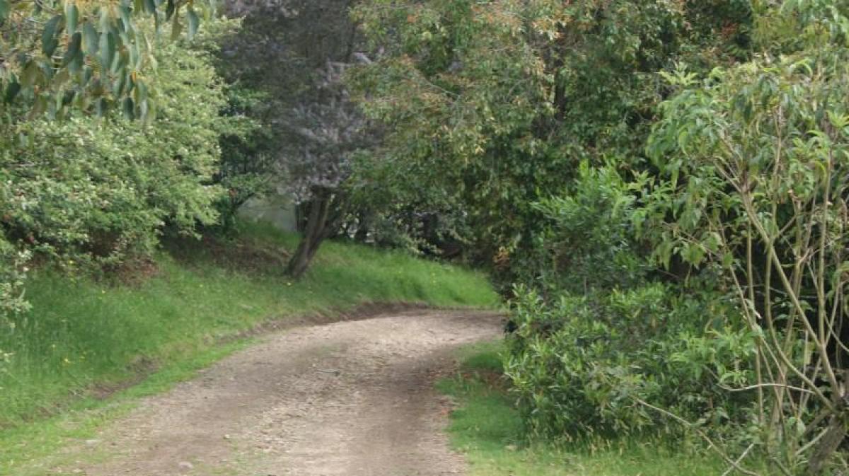 3 bedrooms House in Cundinamarca, Colombia No. 5964