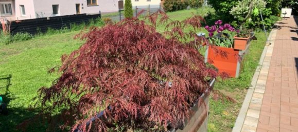 9 bedrooms Townhouse in Main-Kinzig, Germany No. 212388 20