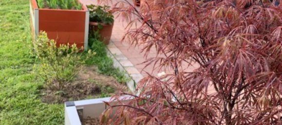 9 bedrooms Townhouse in Main-Kinzig, Germany No. 212388 14